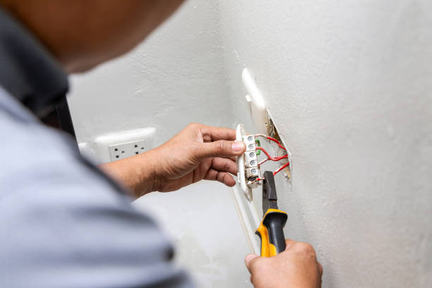 Best Home Electrical Repair  in Woodbine, IA